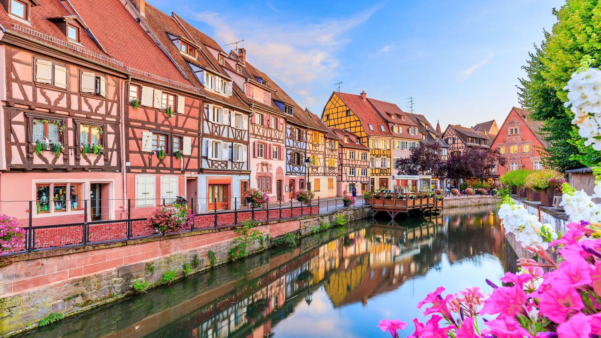 Votre demande en mariage &agrave; Colmar&nbsp;! Illzach